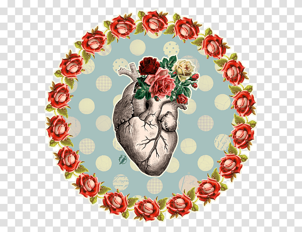 Anatomy, Plant, Painting Transparent Png