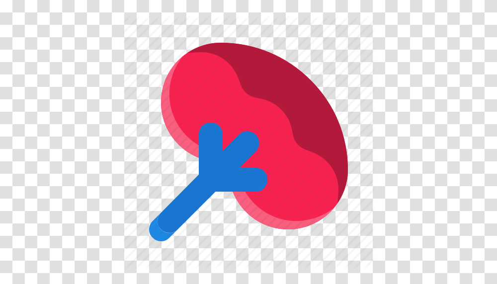 Anatomy Human Organ Spleen Icon, Key, Rattle Transparent Png