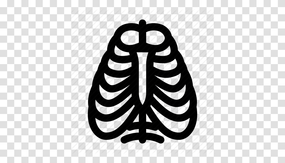 Anatomy Human Rib Cage Ribcage Ribs Skeleton Icon, Plant, Piano, Leisure Activities, Musical Instrument Transparent Png