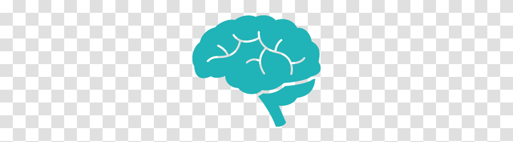 Anatomy In Brain, Green, Texture, Sphere Transparent Png