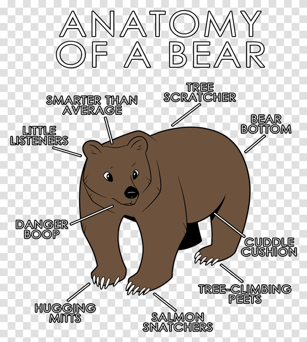 Anatomy Of A Bear, Poster, Advertisement, Flyer, Paper Transparent Png