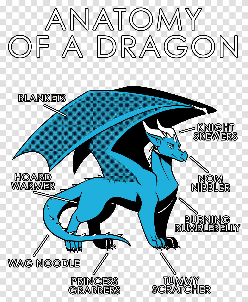 Anatomy Of A Dragon Shirt Transparent Png