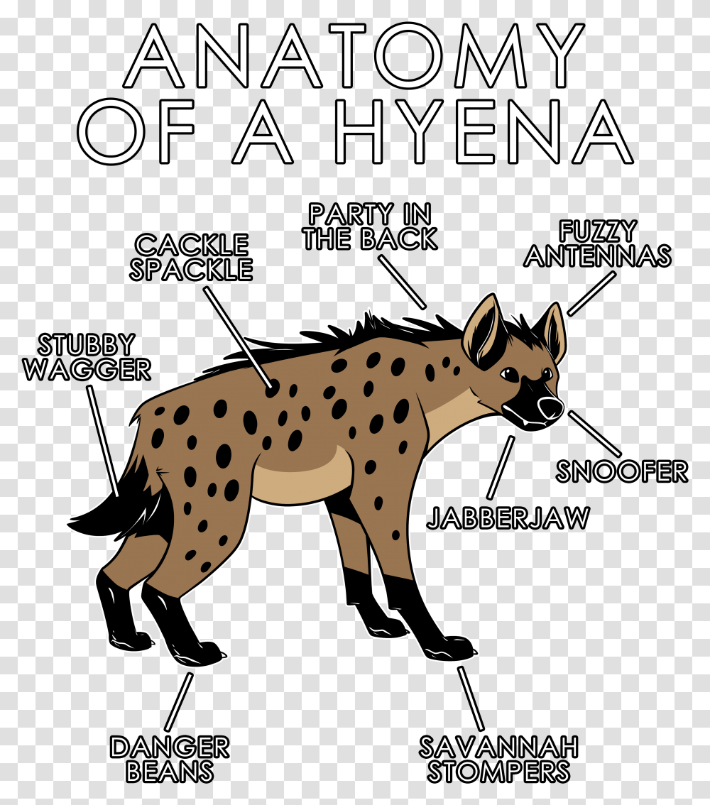 Anatomy Of A Hyena, Wildlife, Animal, Mammal, Panther Transparent Png