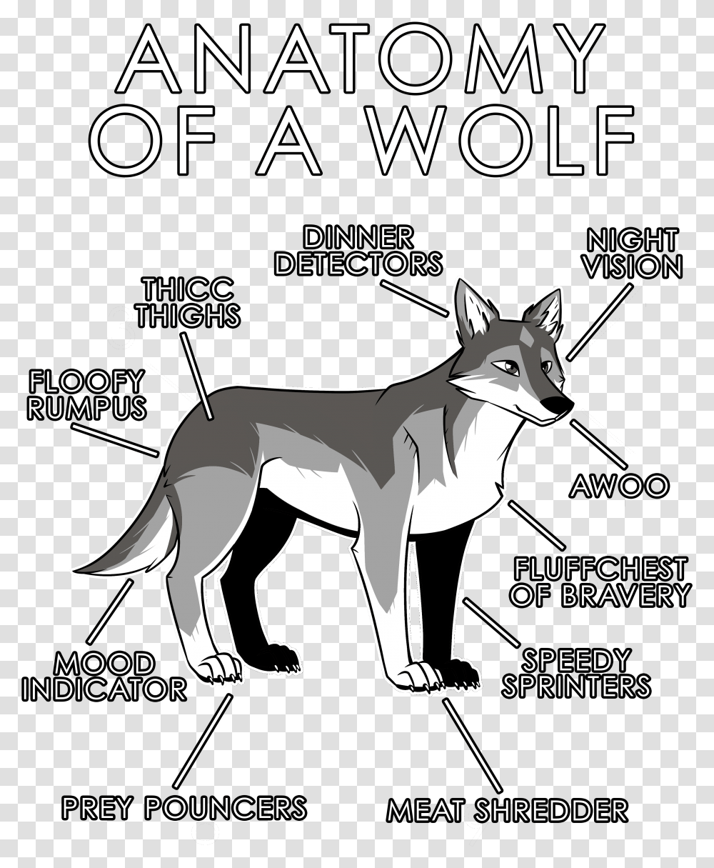 Anatomy Of A Wolf, Advertisement, Poster, Mammal, Animal Transparent Png