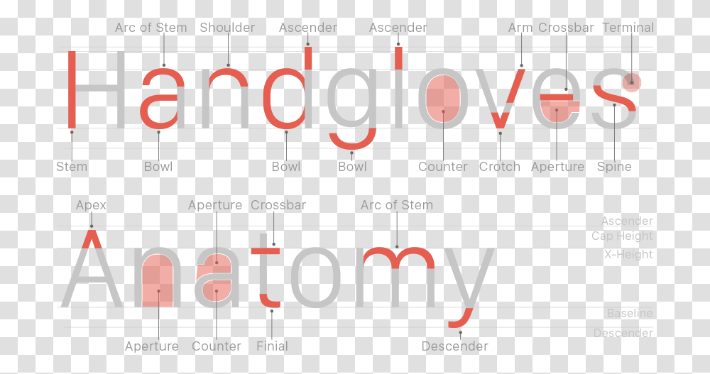 Anatomy Of Sans Serif Typography, Number, Alphabet Transparent Png