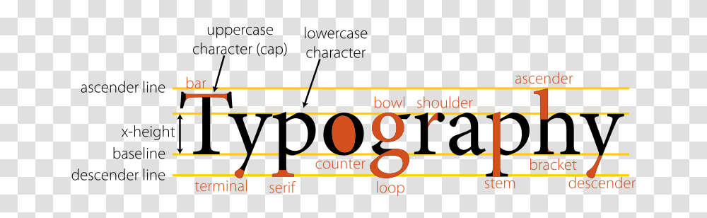 Anatomy Of Type Typography, Education, Leisure Activities, Alphabet Transparent Png