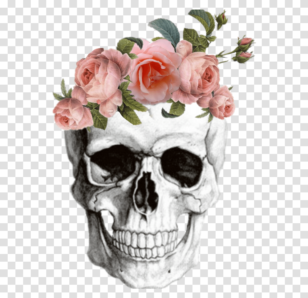 Anatomy Skull Skullsticker Flowers Tumblr, Sunglasses, Plant, Rose, Head Transparent Png