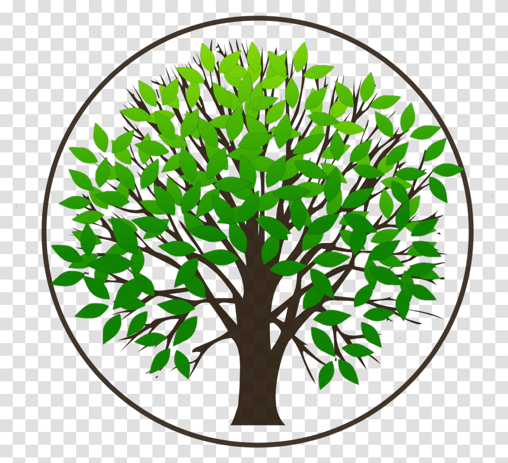 Ancestry Consulting By Aimee Circle, Plant, Tree Transparent Png