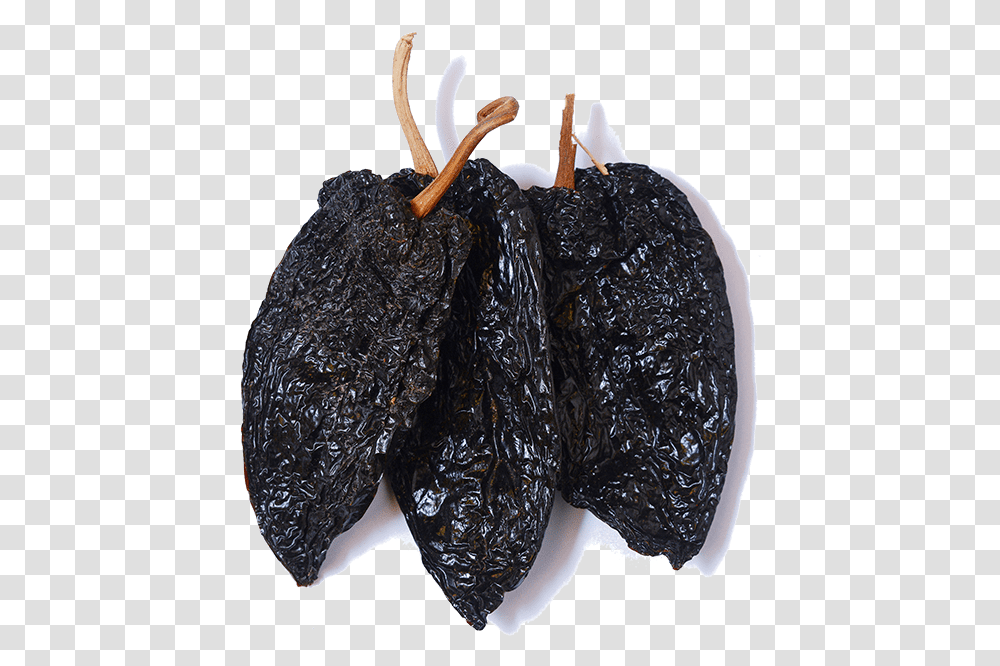 Ancho Chili Whole, Plant, Mineral, Person, Human Transparent Png