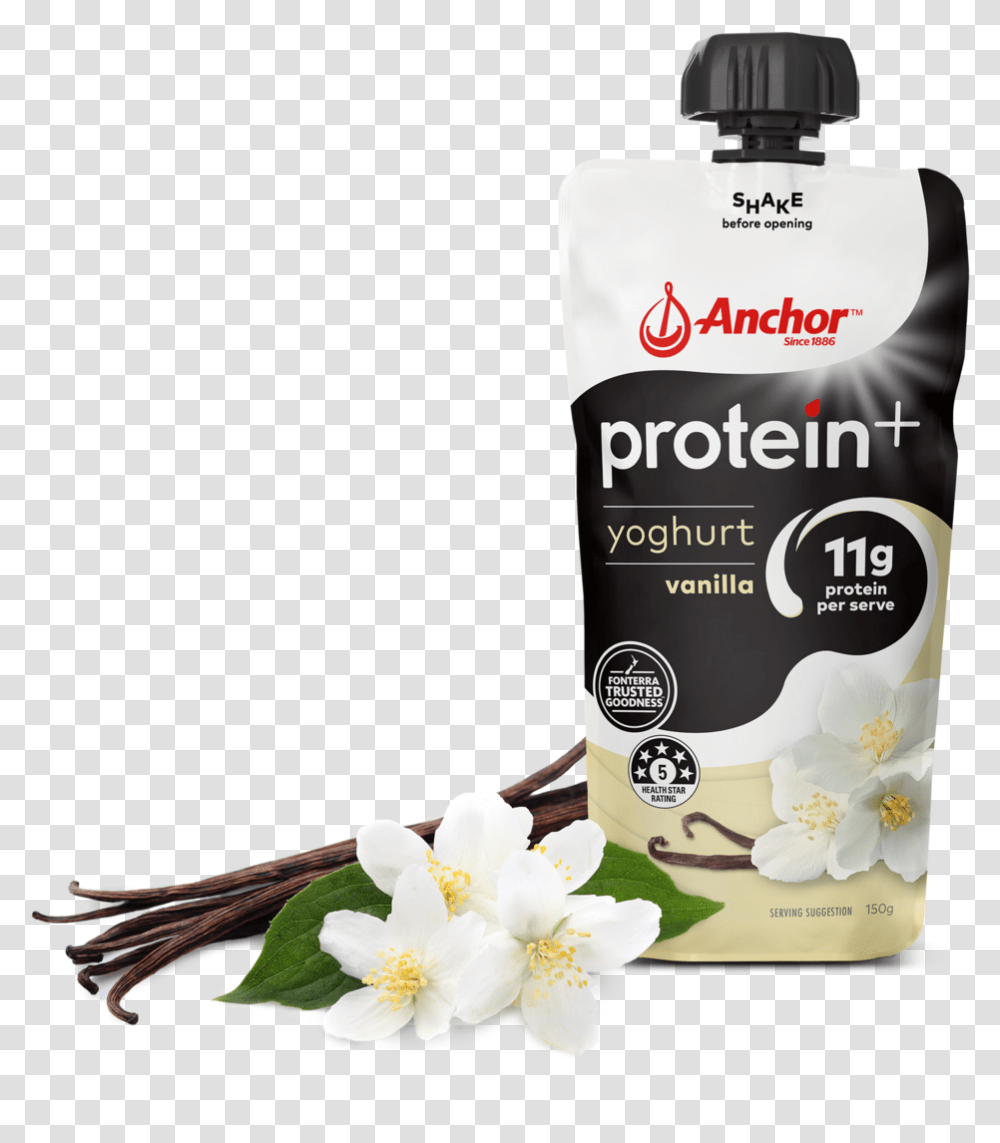 Anchor Protein Plus Yoghurt, Plant, Flower, Blossom, Jar Transparent Png