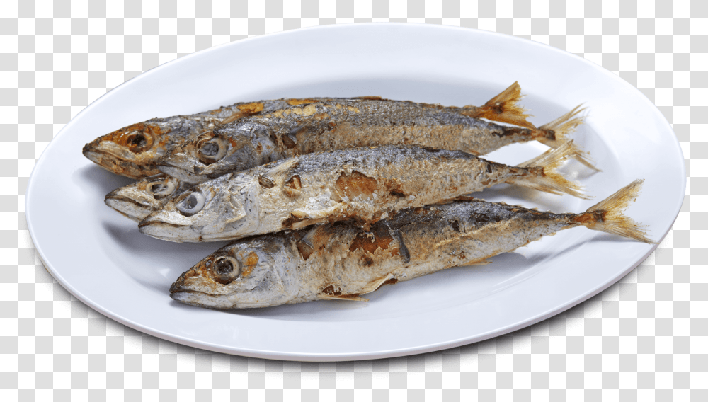 Anchovies As Food, Herring, Sea Life, Fish, Animal Transparent Png