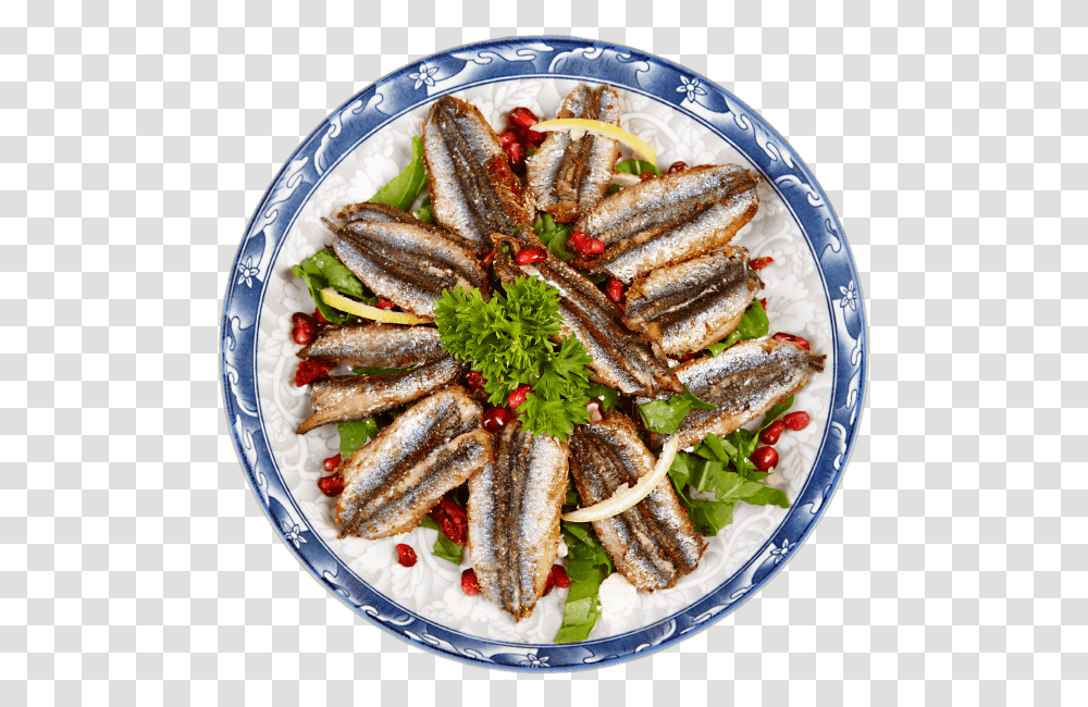 Anchovy Food, Herring, Sea Life, Fish, Animal Transparent Png