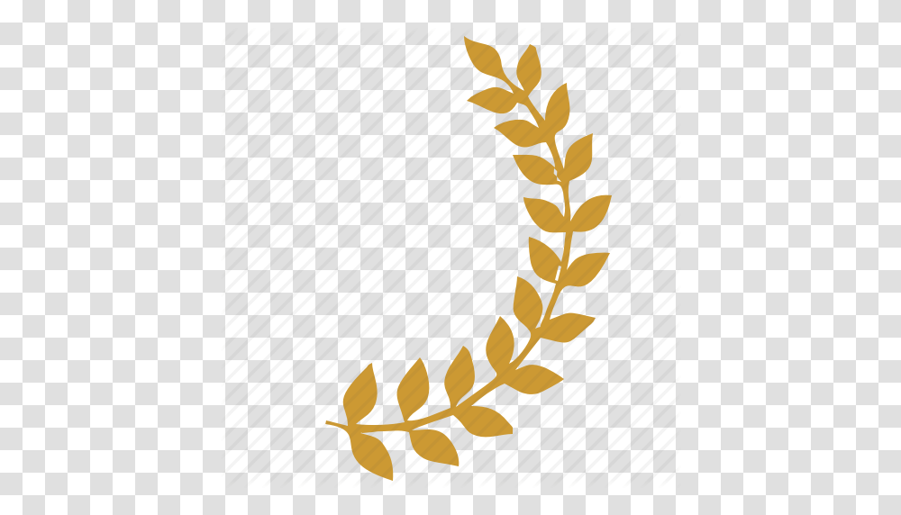 Ancient Branch Culture Laurels Right Rome Icon, Plant, Grass, Grain Transparent Png