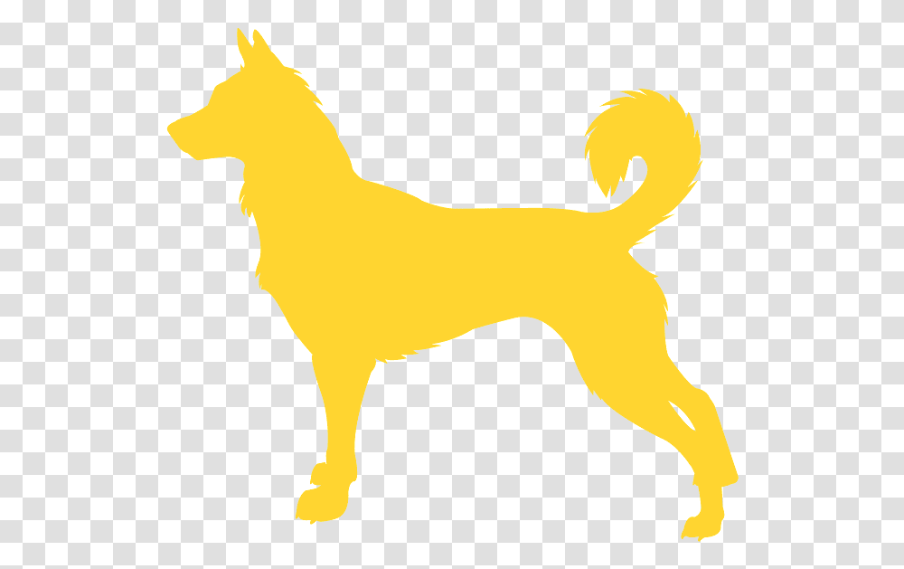 Ancient Dog Breeds, Mammal, Animal, Pet, Canine Transparent Png
