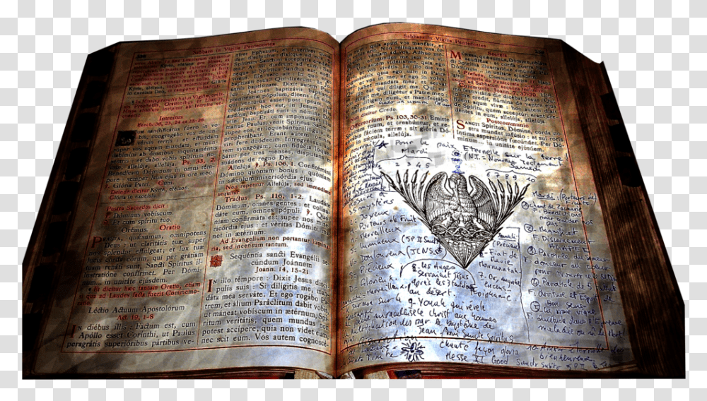 Ancient Magic Book Book Cover, Bird, Animal, Diary Transparent Png