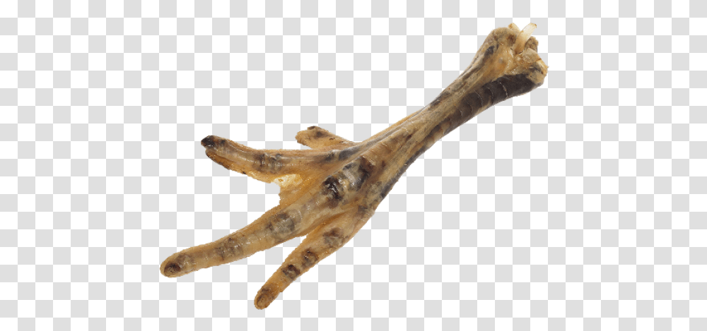 Anco Naturals Chews Dog Healthy Natural Treat Deer Chicken Feet, Hook, Claw Transparent Png