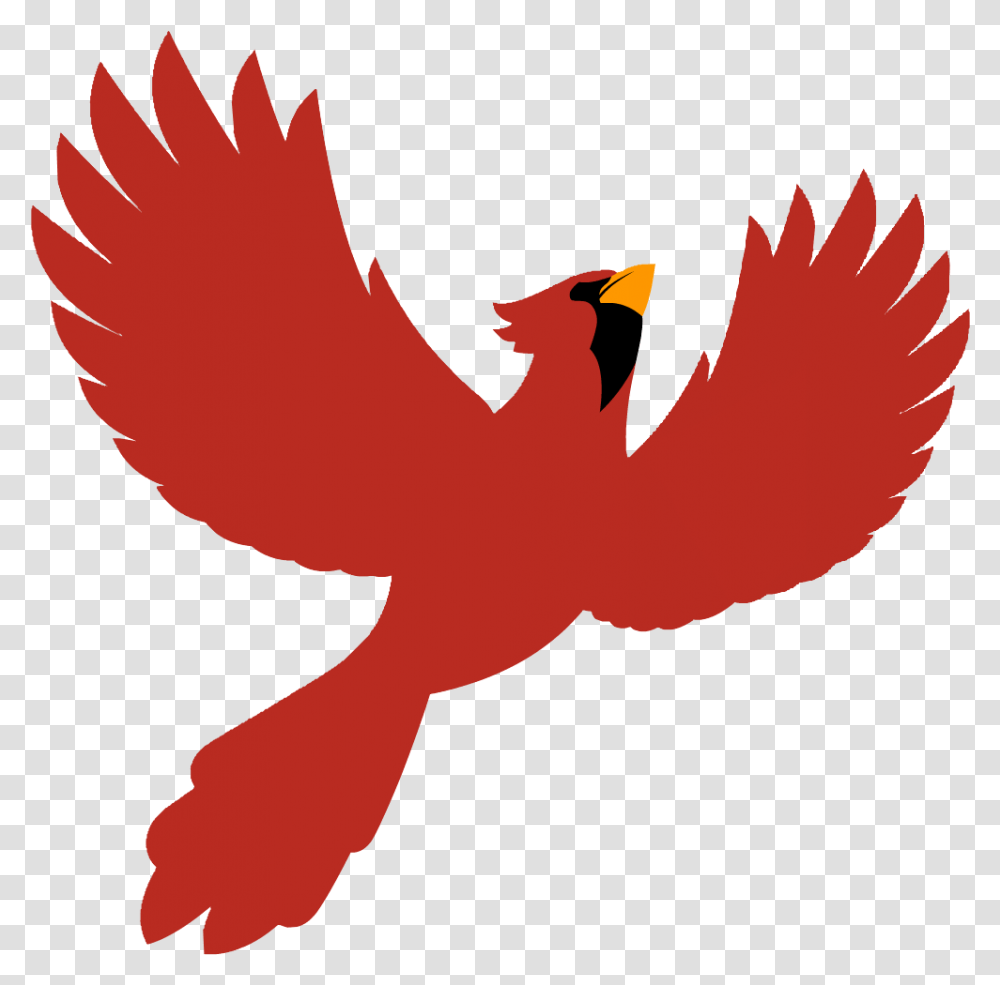 And A Special Thanks To Our Kite, Person, Human, Animal, Bird Transparent Png
