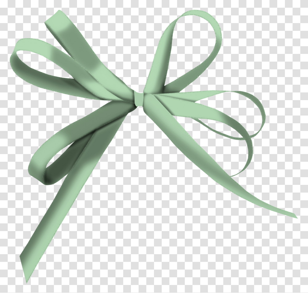 And Arrow Shoelace Knot Ribbon, Plant, Tree, Scissors, Blade Transparent Png