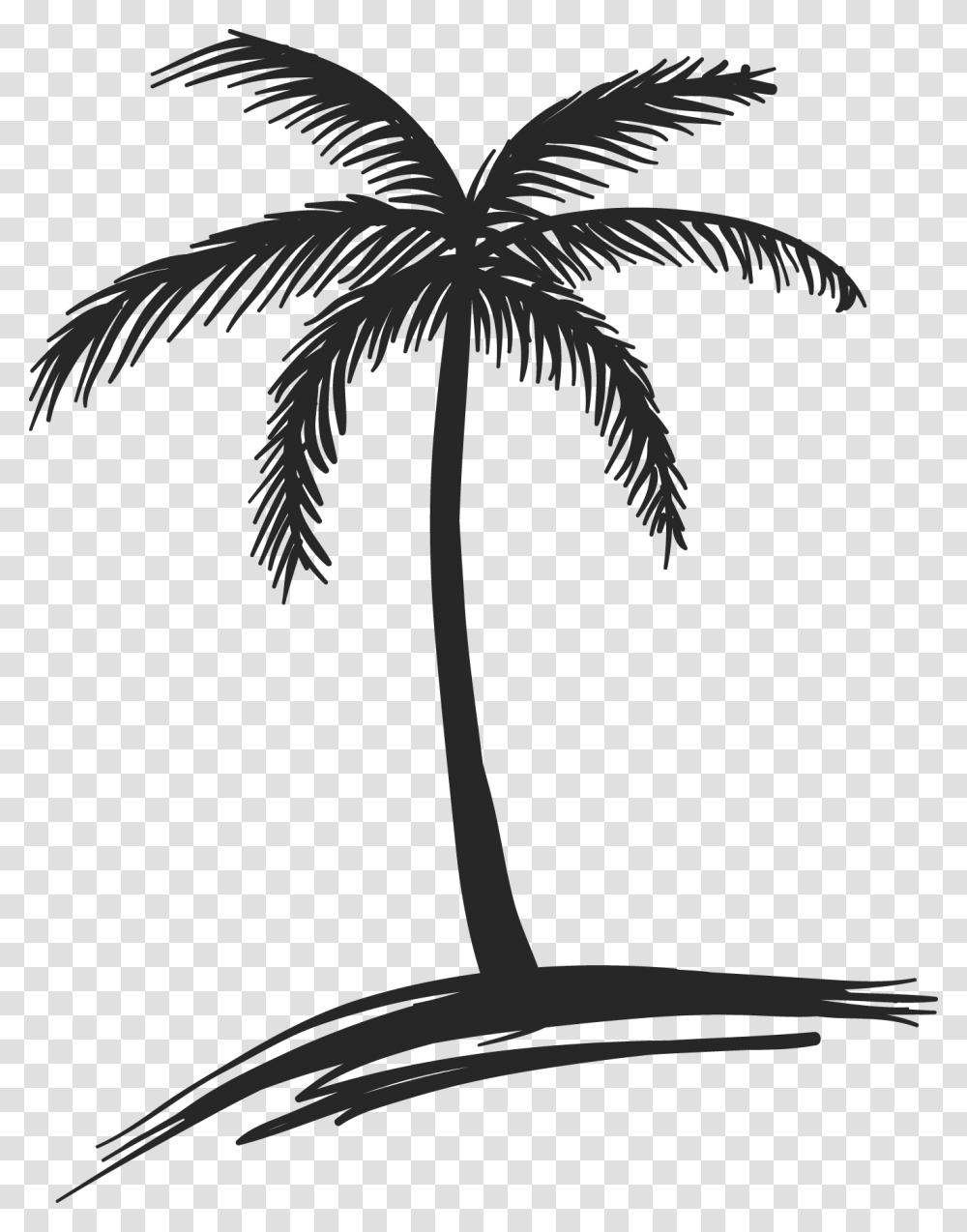And Black Drawing Palm Tree White Small Palm Tree Drawing, Bird, Animal, Plant, Arecaceae Transparent Png