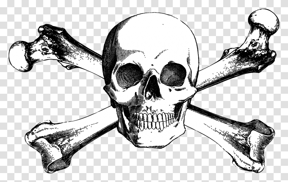And Bones Drawing Skull Crossbones Free Download Free Skull And Crossbones, Sunglasses, Accessories, Accessory, Tool Transparent Png