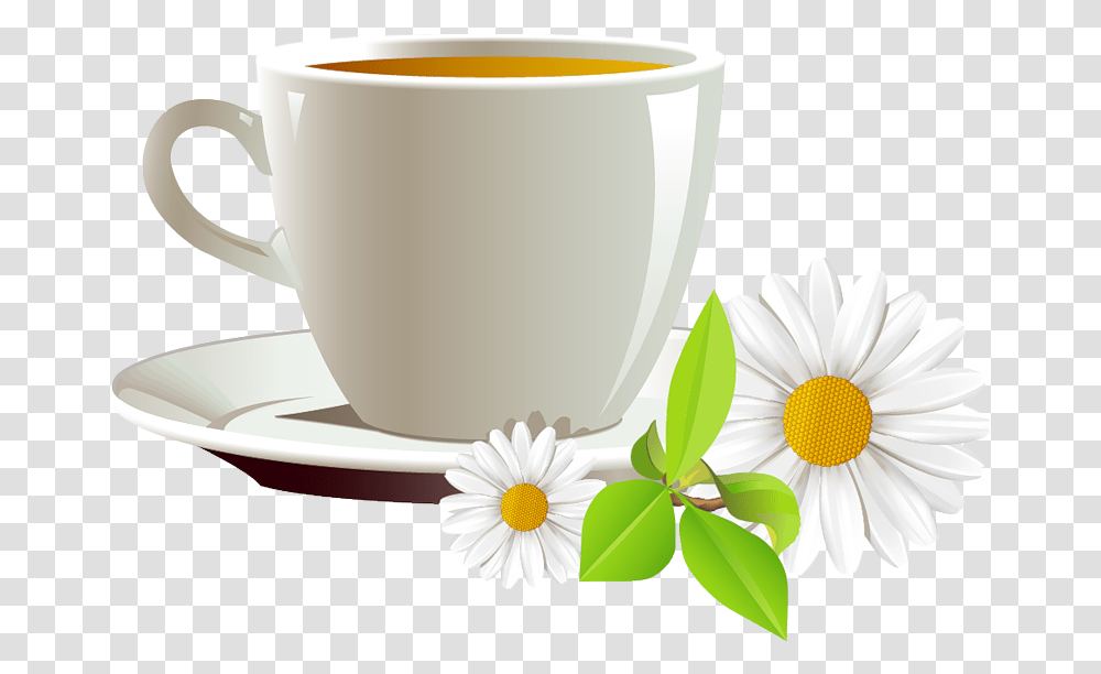 And Coffee Cup Of Tea Cafe Daisies Cup Tea, Plant, Saucer, Pottery, Daisy Transparent Png
