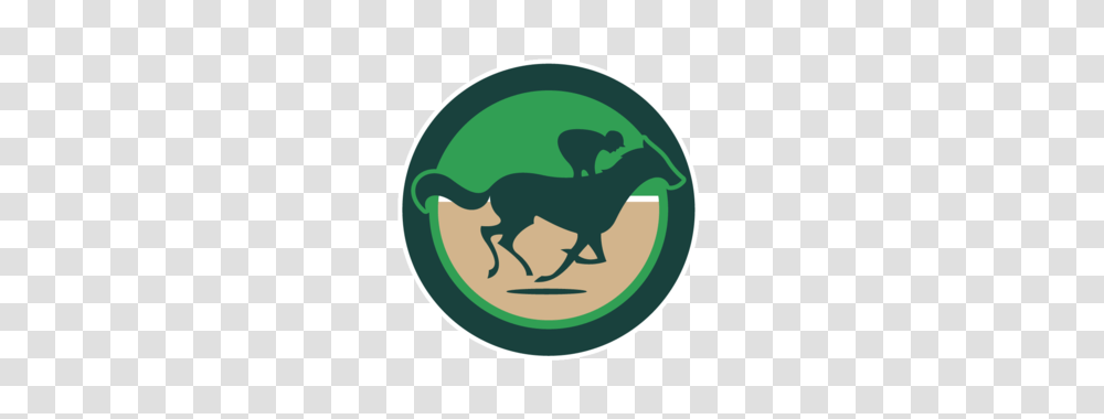 And Down The Stretch They Come, Animal, Mammal, Wildlife, Buffalo Transparent Png