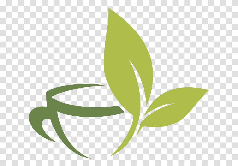And Fuding Cup Tea Material Infusion Vector Vector Tea Leaf, Plant, Sprout, Beverage, Drink Transparent Png