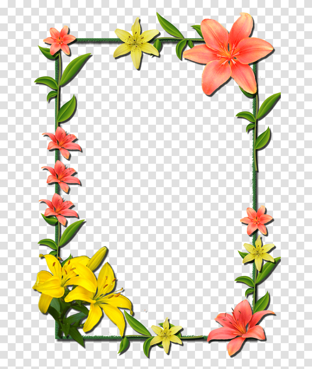 And Picture Flower Frame Frames Borders Flower Frame Border Design, Plant, Blossom, Lily, Petal Transparent Png