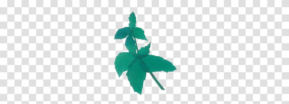 And The Survey Says Intervale Community Farm, Leaf, Plant, Flower, Blossom Transparent Png