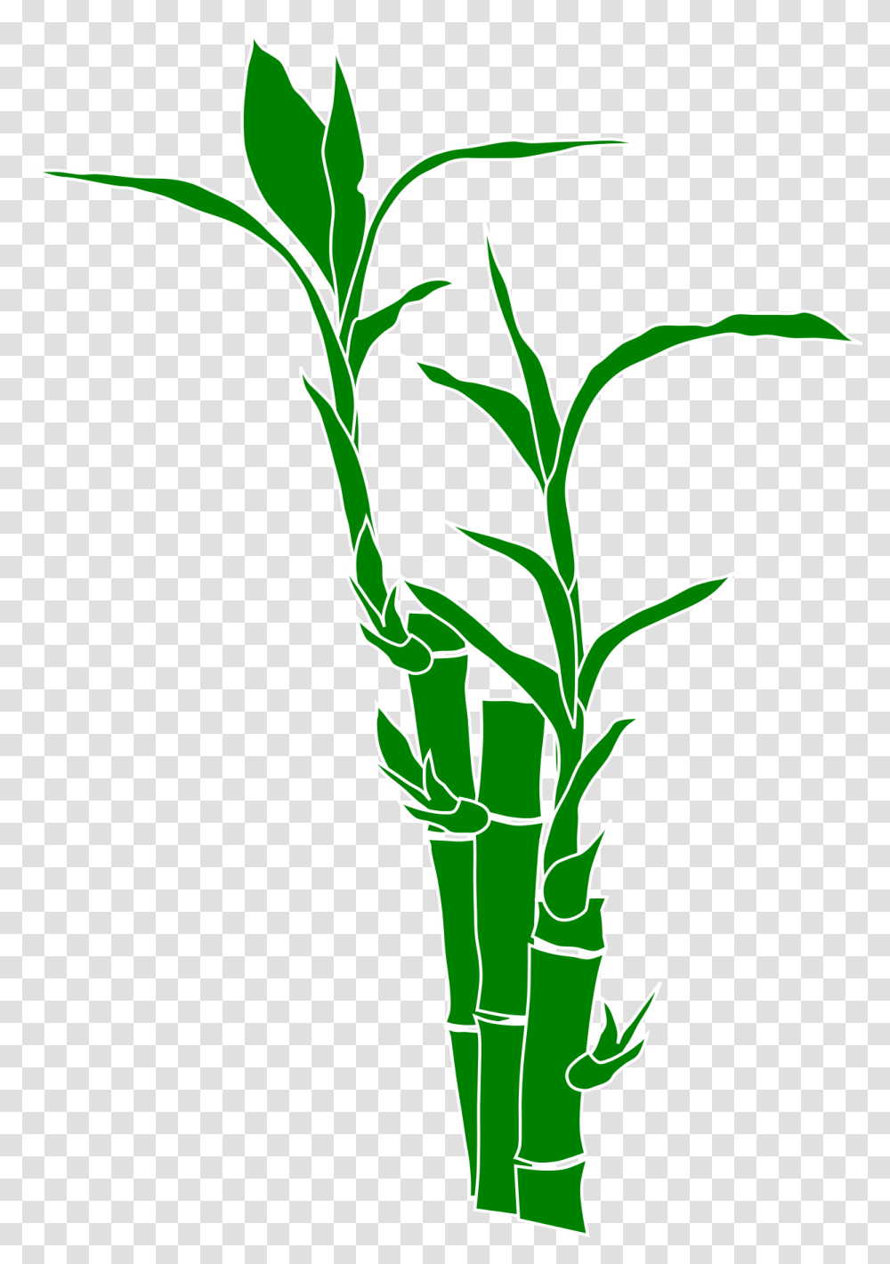 And Use Bamboo Clipart Bamboo Vector, Plant, Flower, Blossom, Sesame Transparent Png