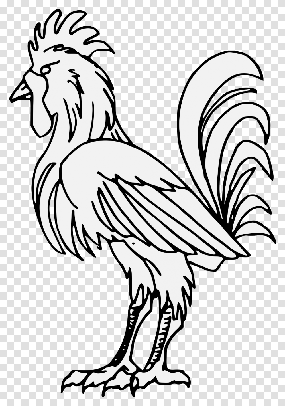And Whiteart Rooster, Vulture, Bird, Animal, Eagle Transparent Png