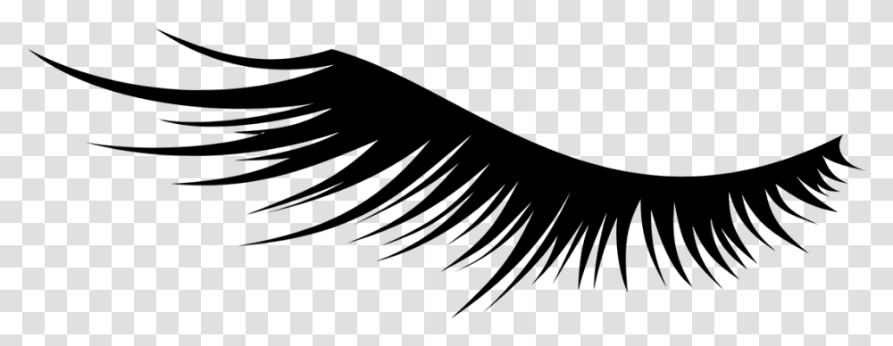 And Whitefeather Eyelash Icon Background, Nature, Outdoors, Outer Space, Astronomy Transparent Png