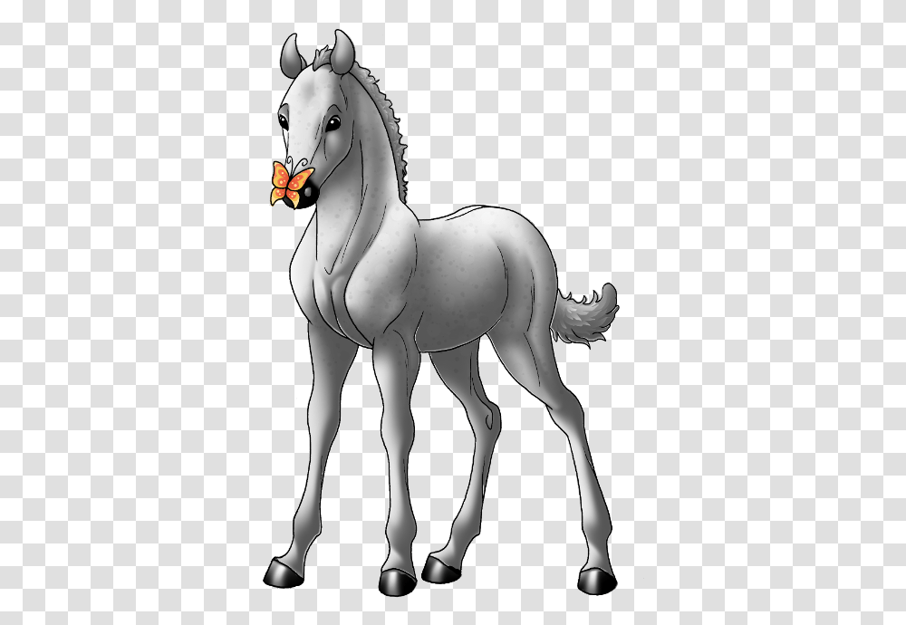 Andalusian, Horse, Mammal, Animal, Colt Horse Transparent Png