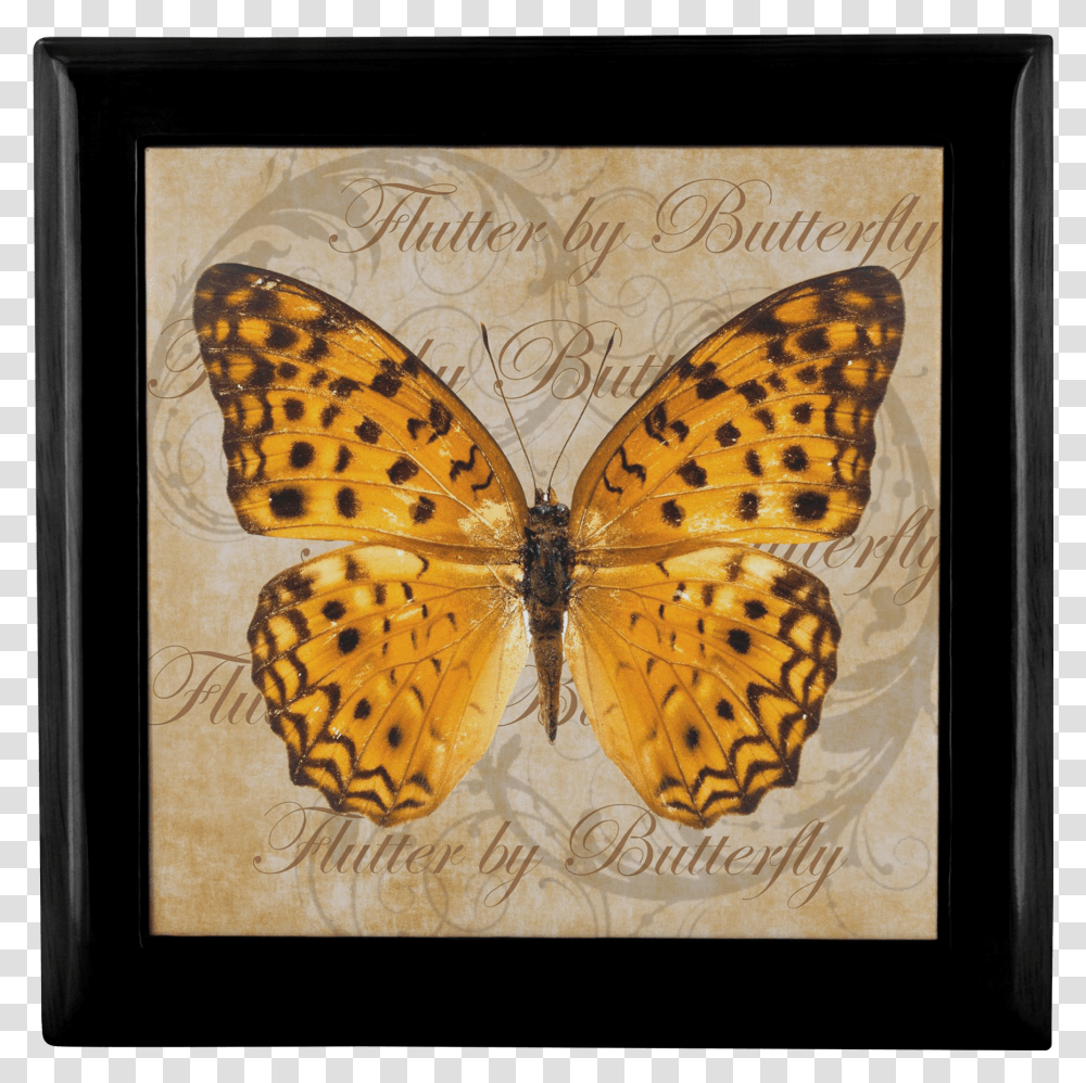 AndData Zoom Cdn Butterfly Hd Images White Background Transparent Png