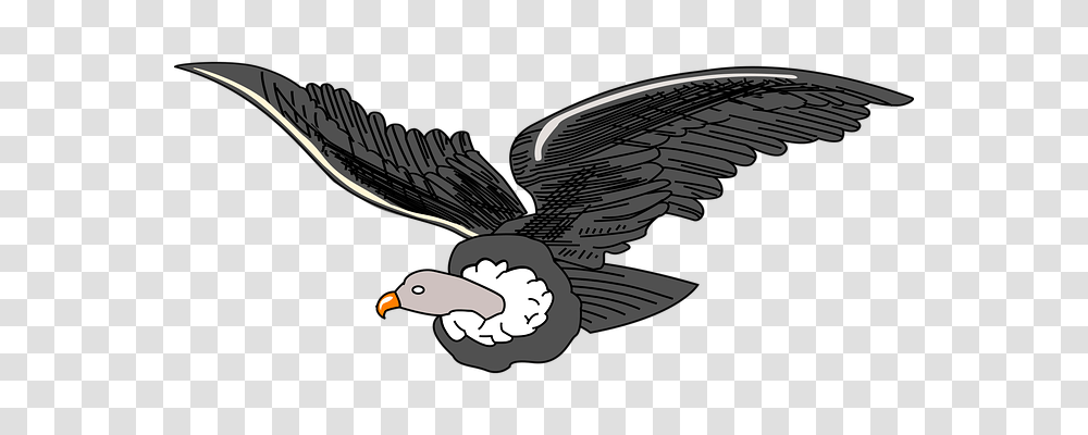 Andean Animals, Eagle, Bird, Flying Transparent Png