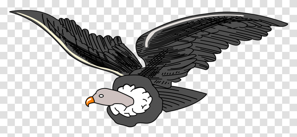 Andean Animal Bird Condor Vulture, Flying, Eagle, Beak Transparent Png