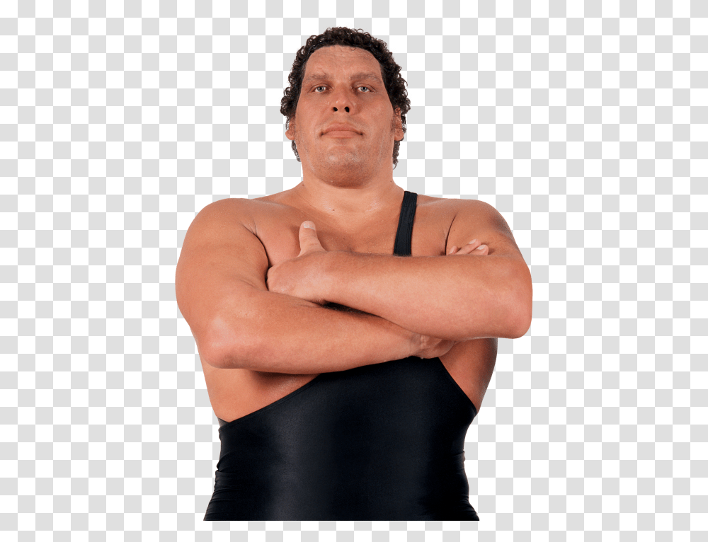 Andre The Giant Andre The Giant 1946, Person, Human, Arm Transparent Png