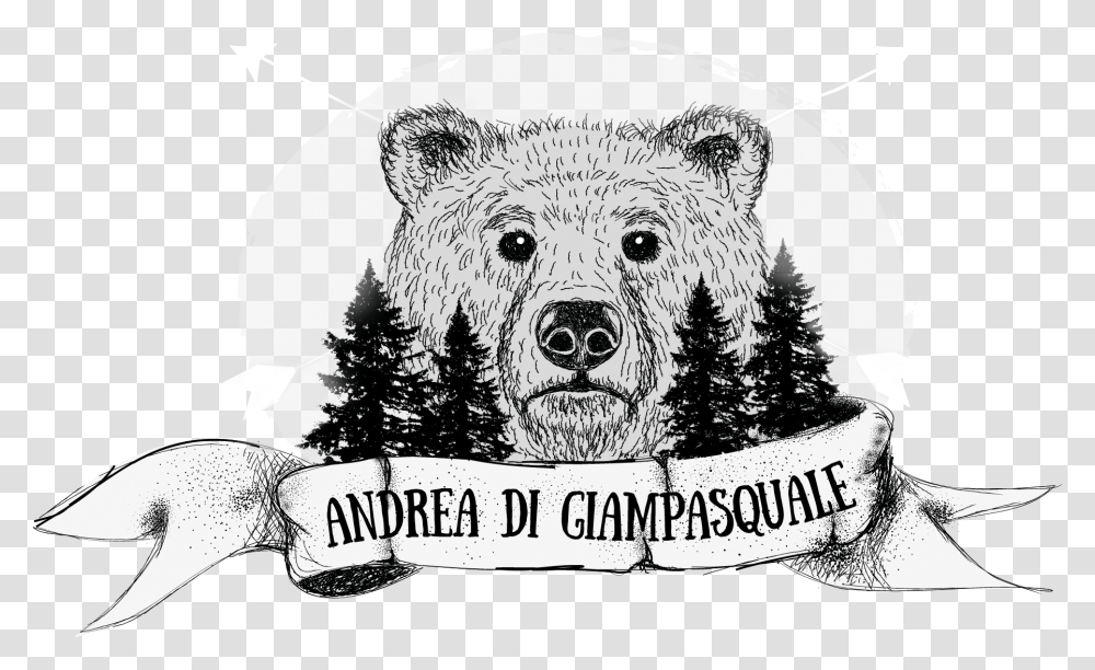 Andrea Di Giampasquale Photography Kodiak Bear, Tree, Plant, Mammal, Animal Transparent Png