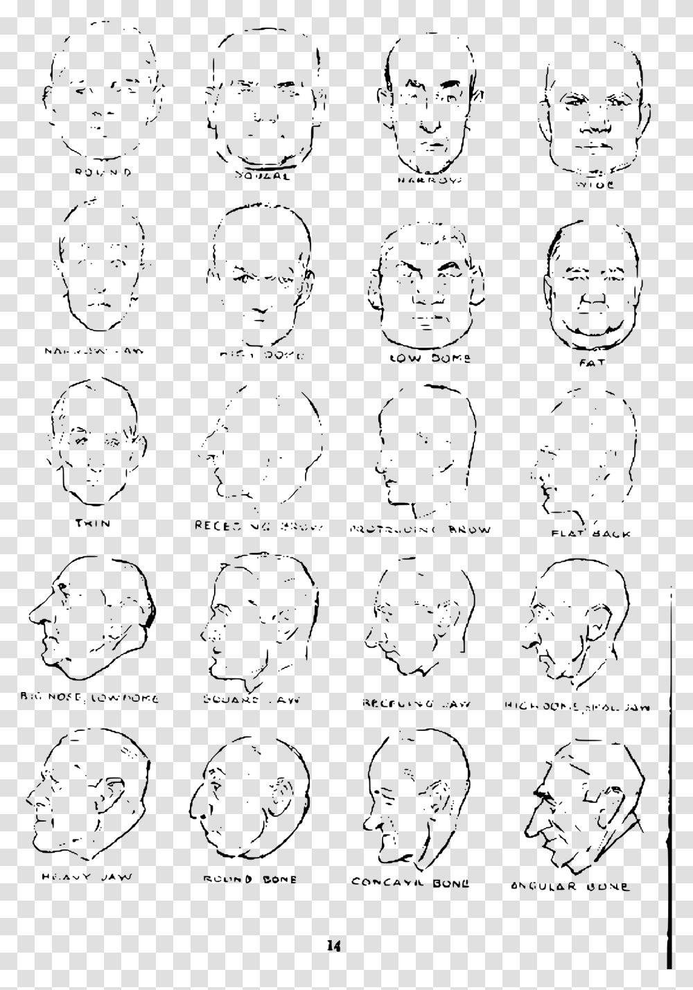 Andrew Loomis Drawing The Head And Hands 10 Clip Arts Drawing, Gray, World Of Warcraft Transparent Png