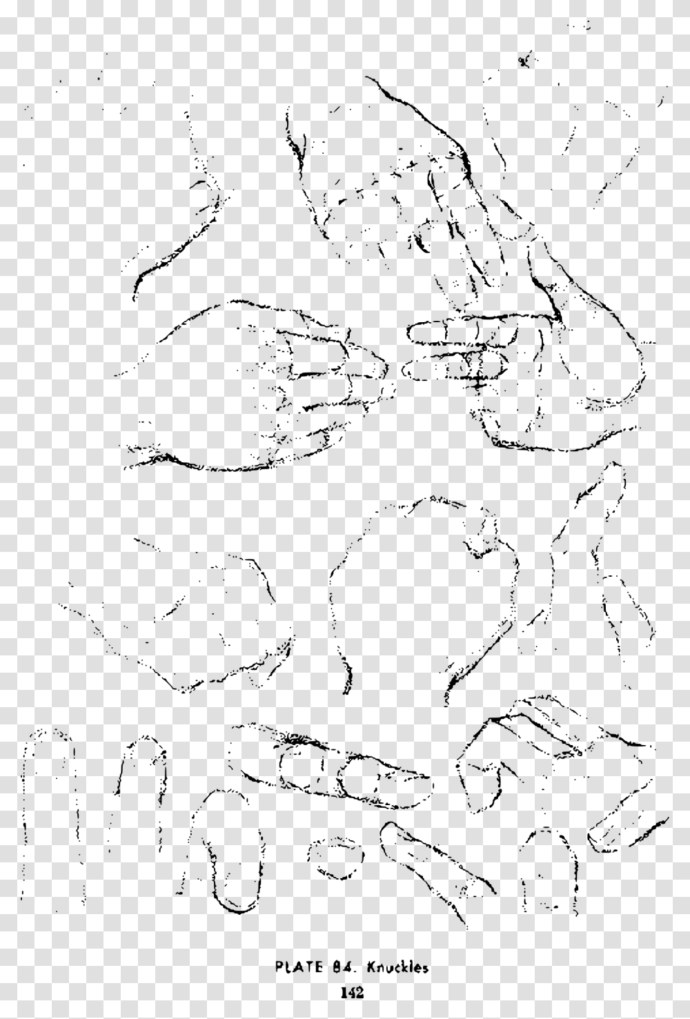 Andrew Loomis Drawing The Head And Hands 129 Clip Arts Drawing, Gray, World Of Warcraft Transparent Png