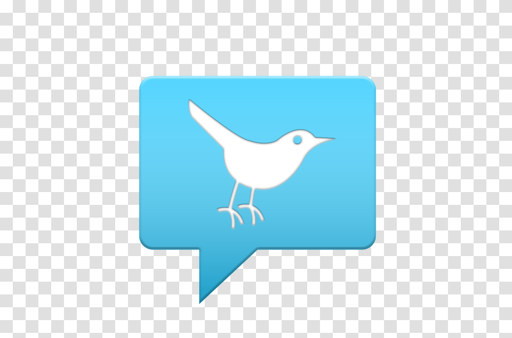 Android, Icon, Bird, Animal, Seagull Transparent Png
