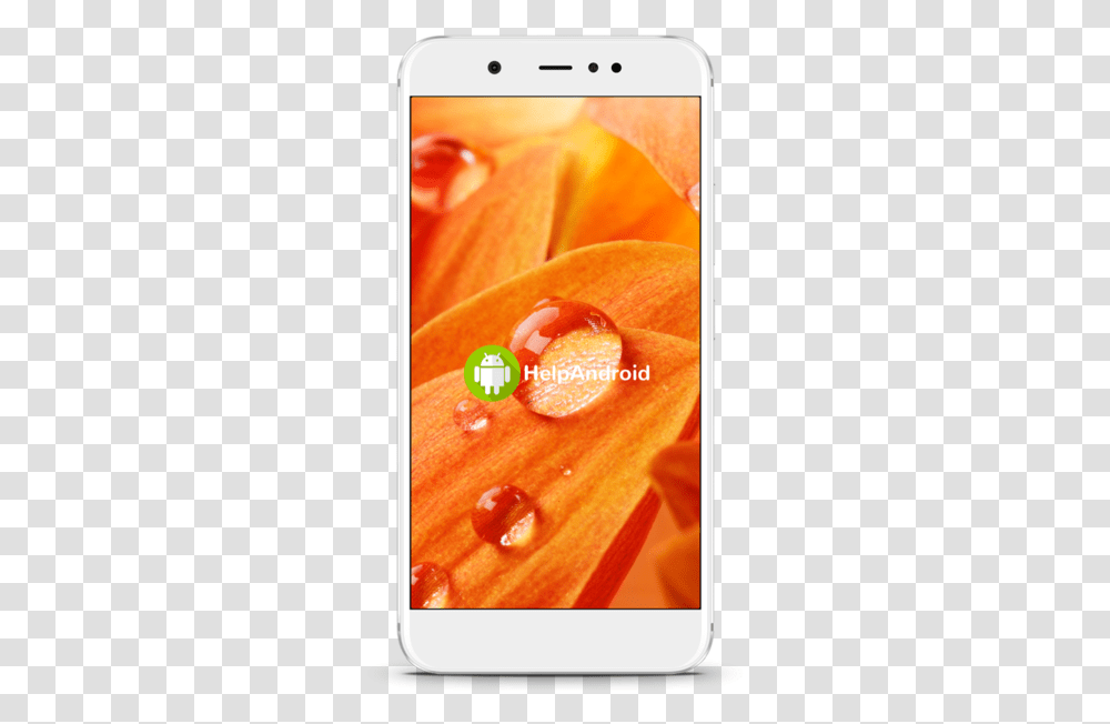 Android, Plant, Food, Produce, Mobile Phone Transparent Png