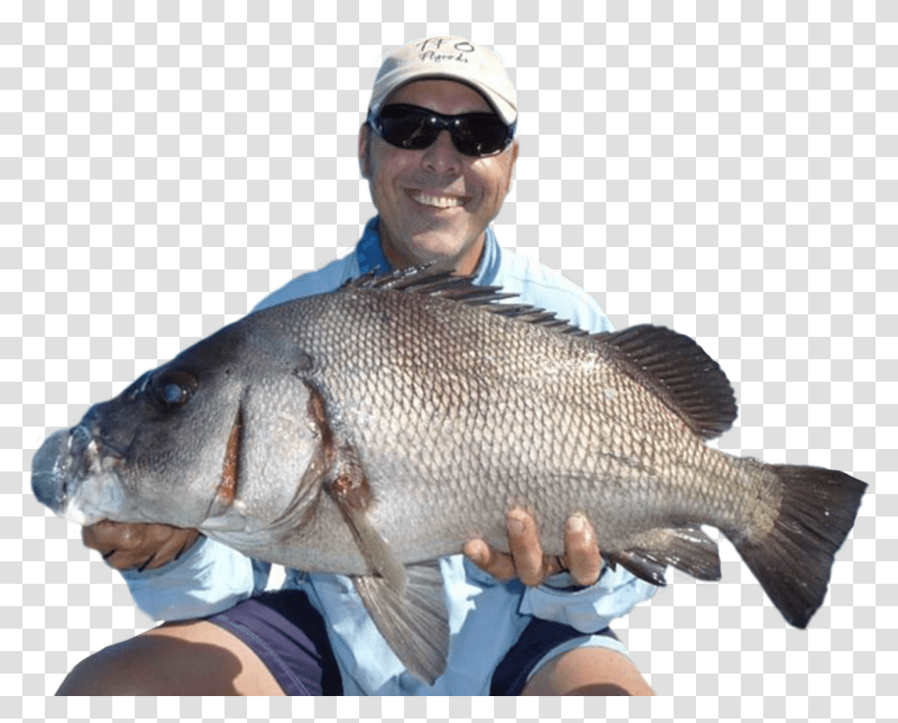 Andy Andysfishing Pull Fish Out Of Water, Animal, Sunglasses, Accessories, Accessory Transparent Png