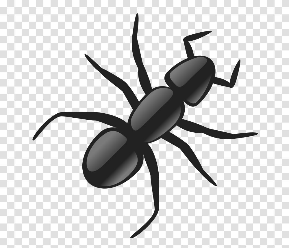 Andy Ant, Animals, Insect, Invertebrate, Scissors Transparent Png