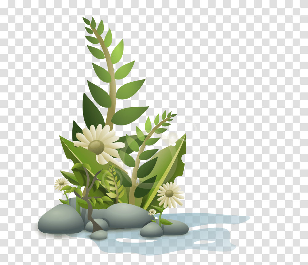 Andy Plants Pebbles And Flowers, Nature, Vase, Jar, Pottery Transparent Png