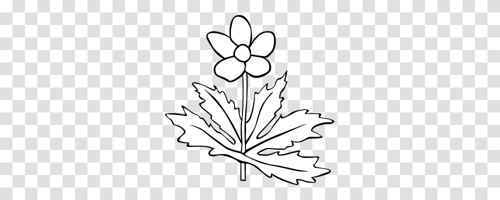 Anemone Nature, Leaf, Plant, Stencil Transparent Png