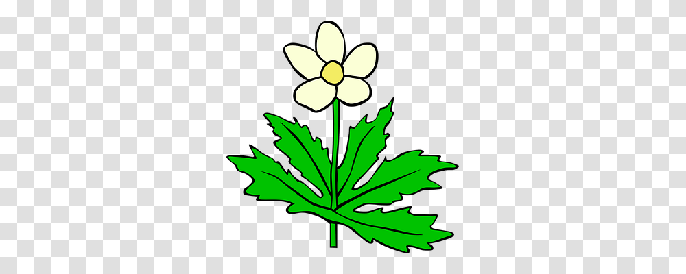 Anemone Nature, Plant, Leaf, Flower Transparent Png
