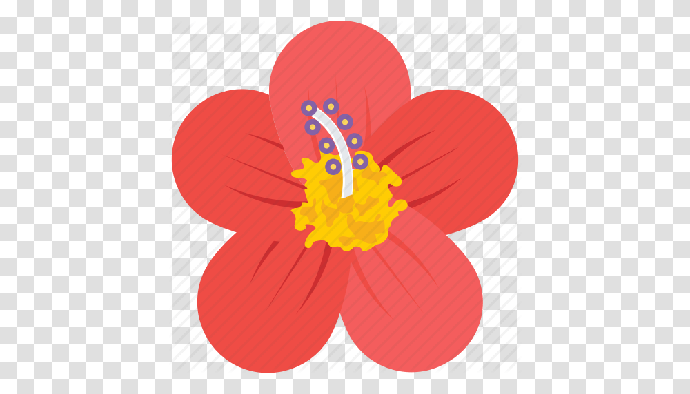 Anemone Bloom Flower Nature Spring Icon, Plant, Hibiscus, Blossom, Anther Transparent Png