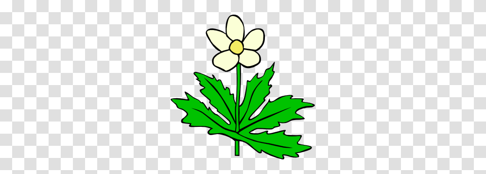Anemone Canadensis Flower Clip Art, Leaf, Plant, Tree, Blossom Transparent Png