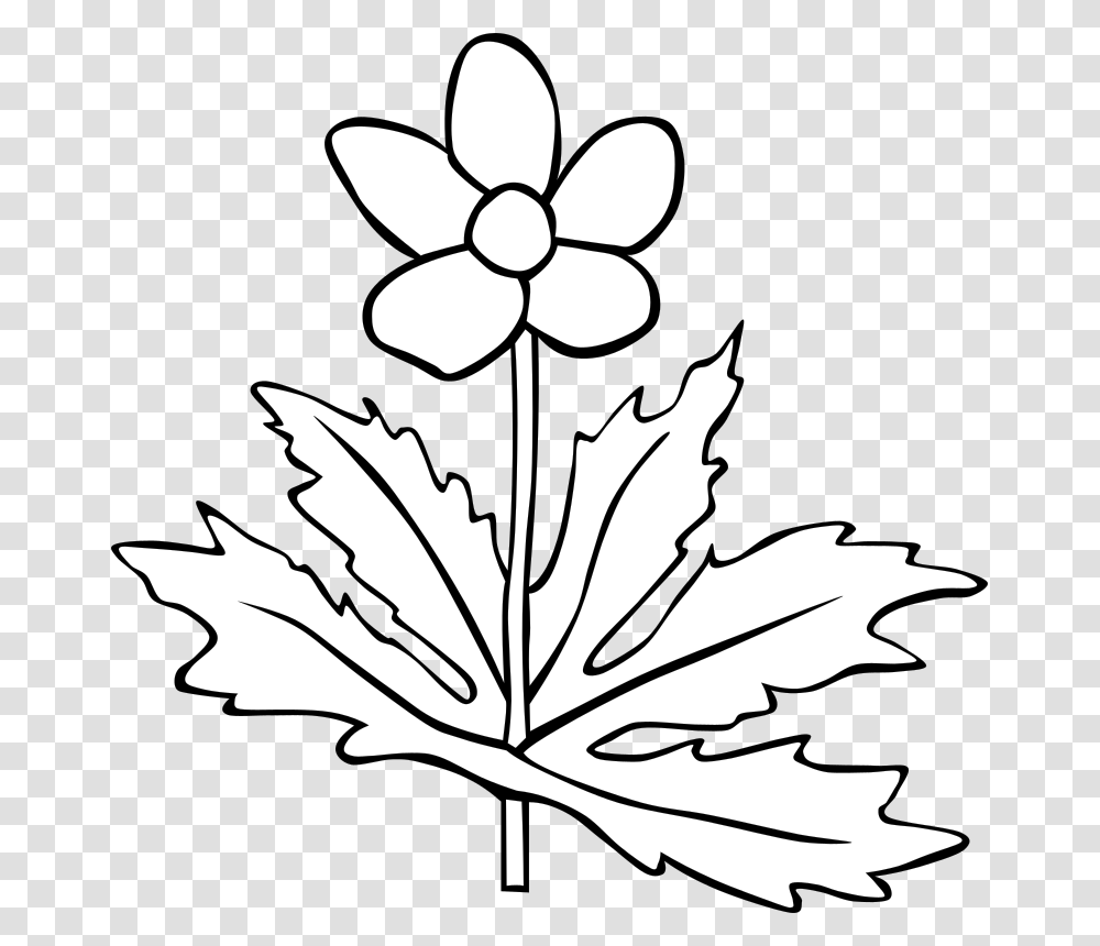 Anemone Canadensis Flower Outline Plant White And Black, Leaf, Maple Leaf, Tree, Blossom Transparent Png